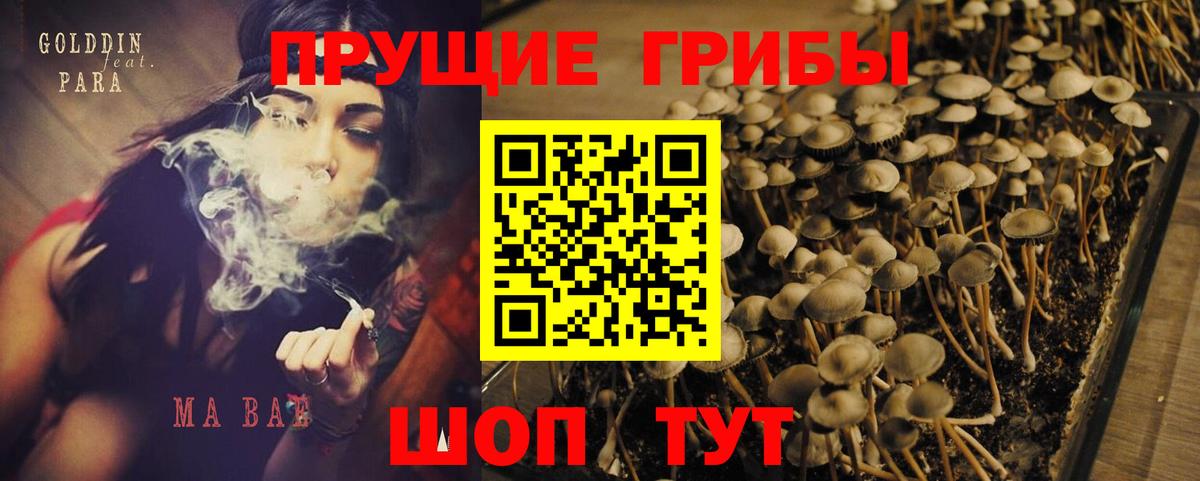 Галлюциногенные грибы ЛСД Соликамск